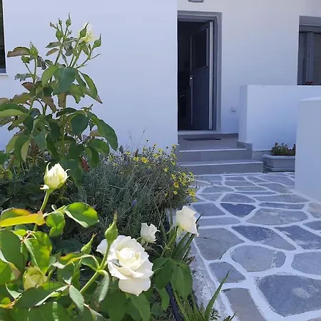 Cozy Town House Апартаменты *