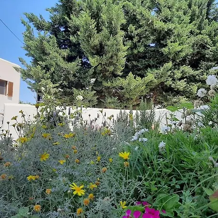 Cozy Town House Apartment